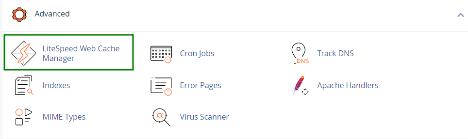 Namecheap LiteSpeed Cache Manager