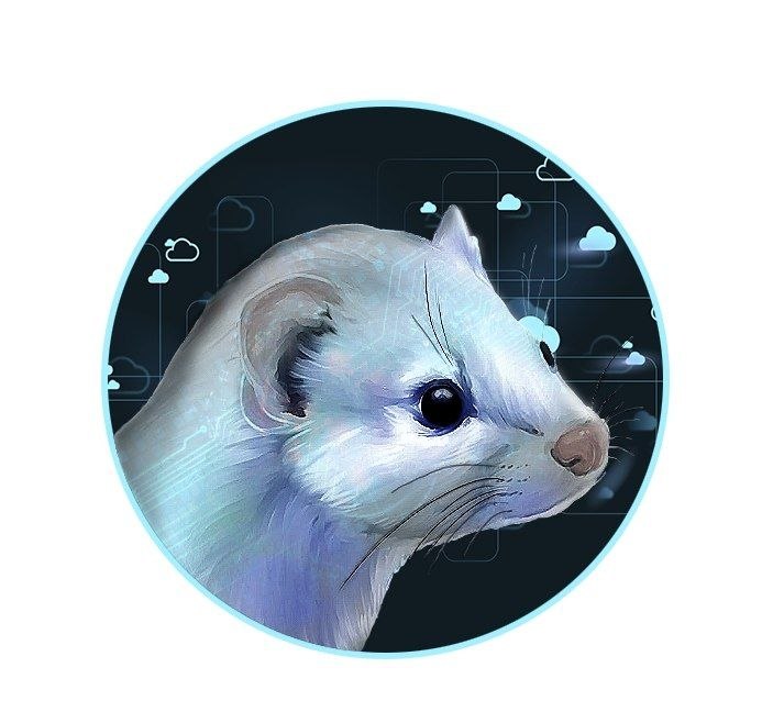 logo de Weasel.Cloud